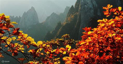 Seoraksan National Park Autumn Season Day Tour From Seoul South Korea