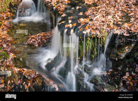 Waterfall Elan Valley Rhayader Powys Wales Stock Photo Alamy