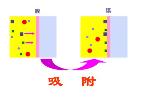 血透、血滤、灌流，别再傻傻分不清！血液溶质的作用