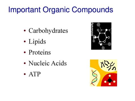 Chapter 2 Organic Compounds Ppt Download