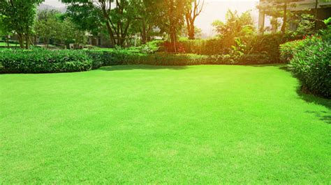 Keep Your Bermudagrass Lush And Green With These Must Know Fertilizing Tips