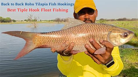 Unique Trebel Hook Indian River Fishing Best Rohu Fishing Spot