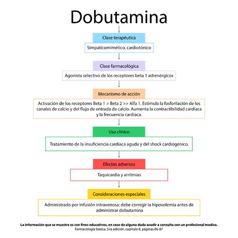 Dobutamina Mecanismo De A O Sololearn