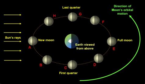 Waxing Crescent Moon Cosmos