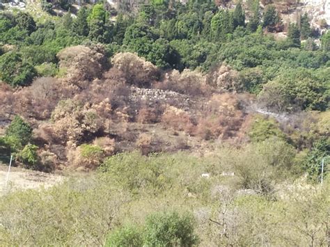 Brucia la Sicilia divampati 17 incendi la provincia nissena più