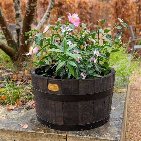 Buy Reclaimed Oak Barrel Planter