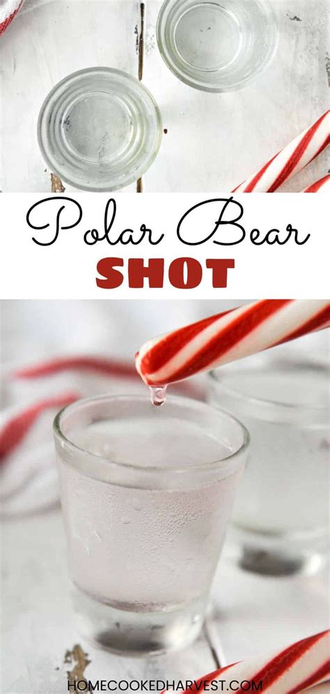 Polar Bear Shot Recipe Delicious Drink Recipes Christmas Drinks