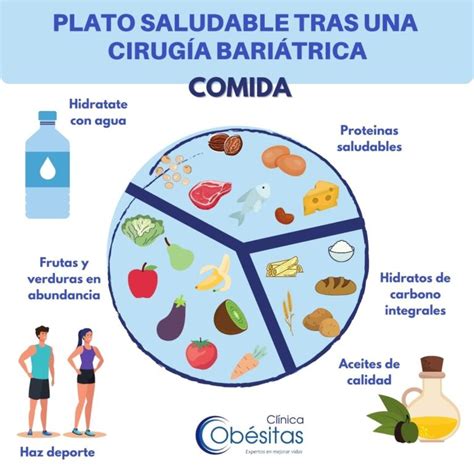 Alimentaci N Saludable Pautas B Sicas Cl Nicas Ob Sitas