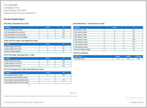 HCC Risk Auditing Setup And Workflow Guide Healthicity Support