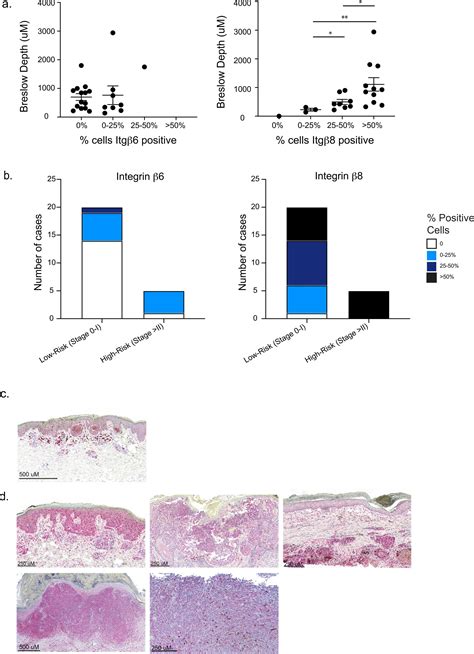 Tgf Activating Integrins And Are Dysregulated In Inflammatory