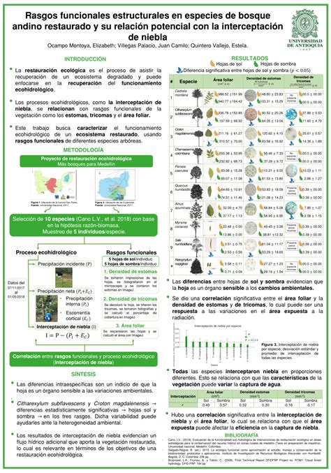 Pdf Rasgos Funcionales Estructurales En Especies De Bosque Andino Restaurado Y Su Relación