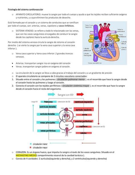 Fisiolog A Del Sistema Cardiovascular Navi Udocz