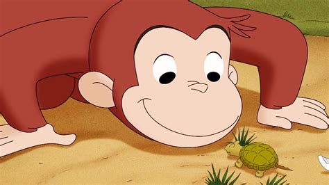 George O Curioso George e o Ovo Perdido Compilação Jorge O Macaco