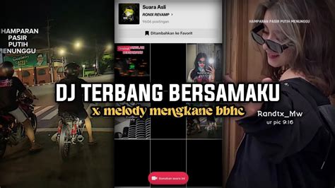 Dj Hamparan Pasir Putih Menunggu Dj Terbang Bersamaku Viral Tik Tok