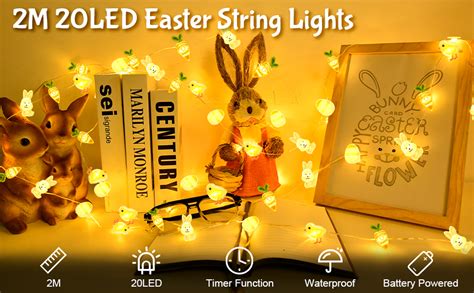 BOLWEO Ostern Lichterketten 6 56Ft 2M 20 LED Ostern Lichterkette Mit