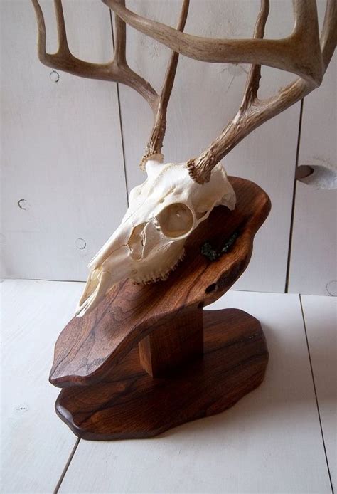 Table Pedestal For Your European Skull Mount Made By Mesquitethorn