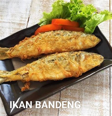 Kandungan Manfaat Gizi Ikan Bandeng Yang Sangat Baik Untuk Kesehatan