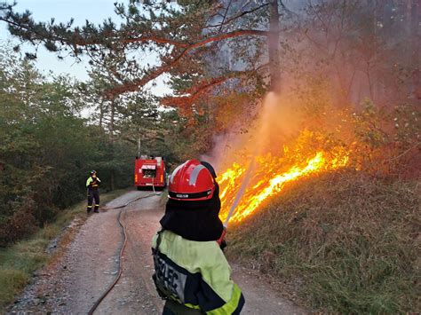 Požar na goriškem Krasu pod nadzorom zaradi burje grozijo vnovični