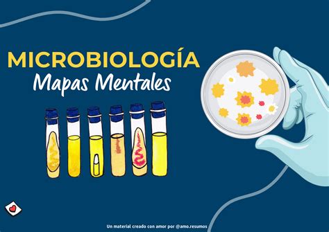 MICROBIOLOGY MIND MAPS AMO RESUMOS Hotmart