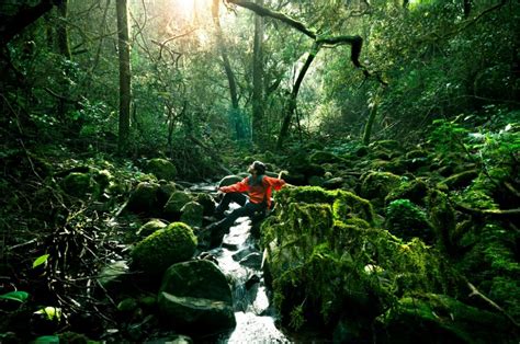 Kudremukh National Park - Get Lost Amidst The Wilderness