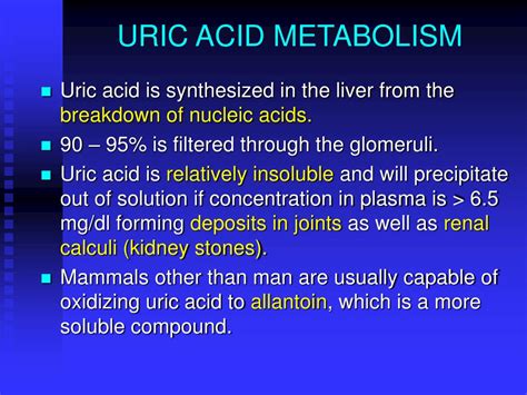 Ppt Renal Function Powerpoint Presentation Free Download Id5953752