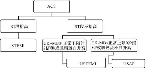 第五章 无st段抬高急性冠脉综合征的监护治疗 Ccu手册 医学