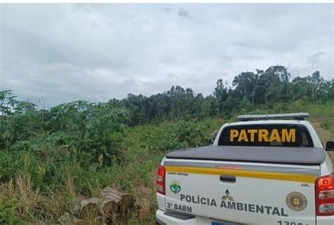 3º Batalhão Ambiental Da Brigada Militar Flagra Desmatamento Em