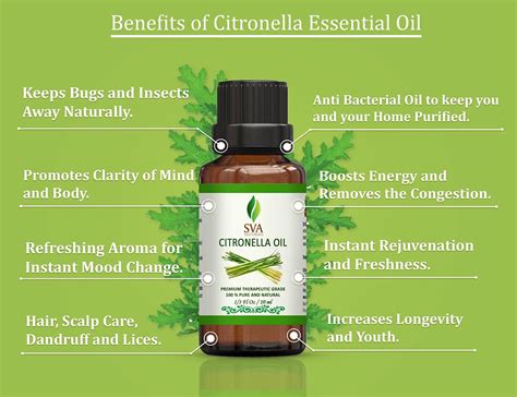 Aceite Esencial De Citronela Sva Oz Fl Oz Garantizado Puro Y