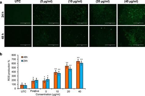 Generation Of Ros Due To Bi O Nps A The Fluorescence Image Of Mcf