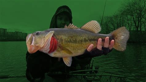 Early Spring Bass Fishing At Newton Lake Nj Youtube