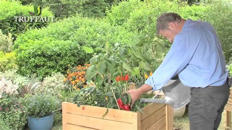 Cultiver Un Potager Hors Sol Truffaut YouTube