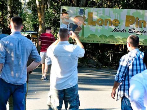 Lone Pine Koala Sanctuary Brisbane Visitor Information And Reviews