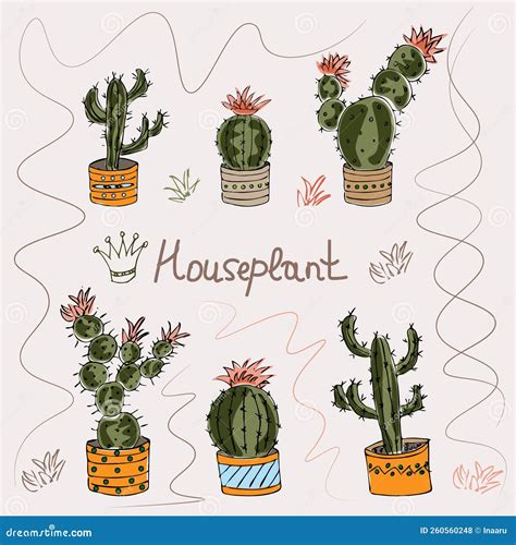 Poster With Home Plants Cute Cacti Stock Vector Illustration Of Drawn Flowers 260560248