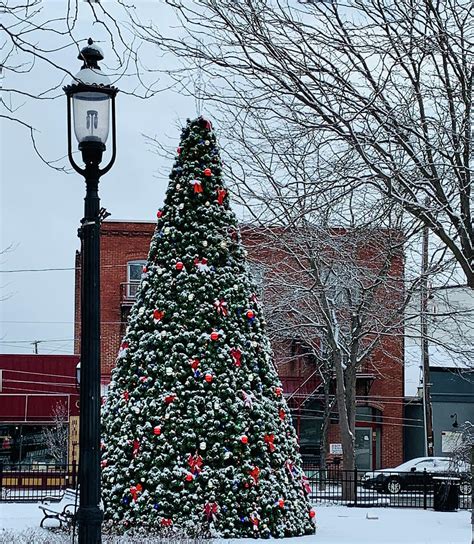 Town Square Christmas Tree Photograph by Daniel Wessner - Fine Art America