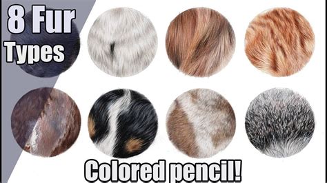 How To Draw Fur With Colored Pencils Np