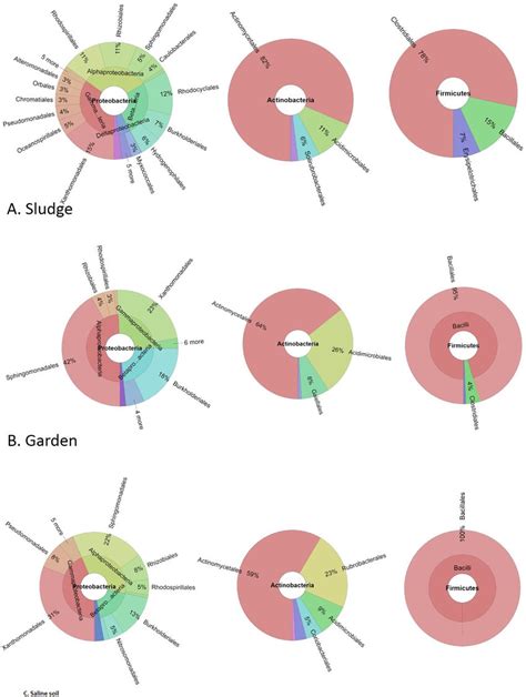 Krona Charts Showing The Order Level Bacteria Abundance Diversity And