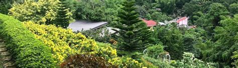 Cebu Botanical Garden Entrance Fee Opening Hours And More