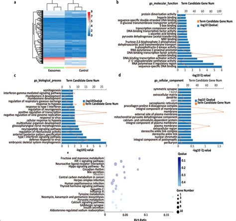 Transcriptome Profiling Of Brain Organoids Exposed To Breast Cancer