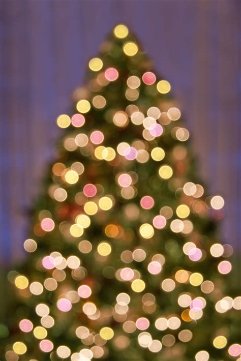 Bokeh Christmas Tree Lights Background Pattern An Out Of Flickr