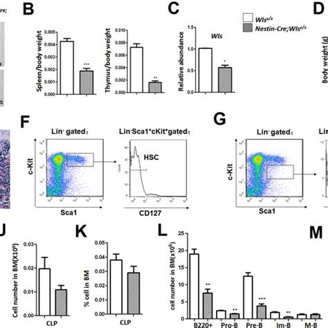 Defective B Cell Lymphopoiesis In The Nestin Cre Wls C C Mice A The