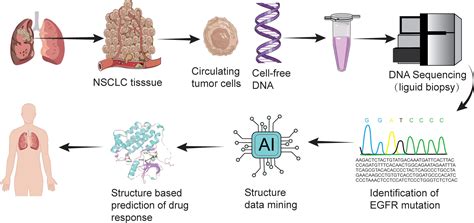 Frontiers Osimertinib Centered Therapy Against Uncommon Epidermal Growth Factor Receptor