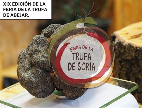 Feria De La Trufa De Soria Programa De Actividades Gastronom A