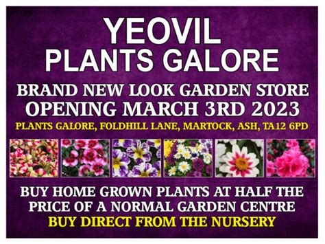 Yeovil Plants Galore Open 3rd March Plants Galore