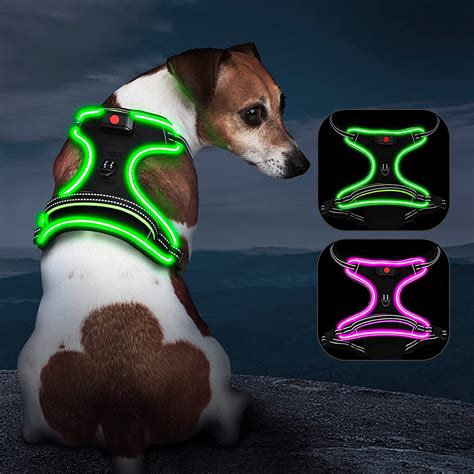 Hundegeschirr Leuchtend Wiederaufladbares Leuchtgeschirr F R Hunde Led