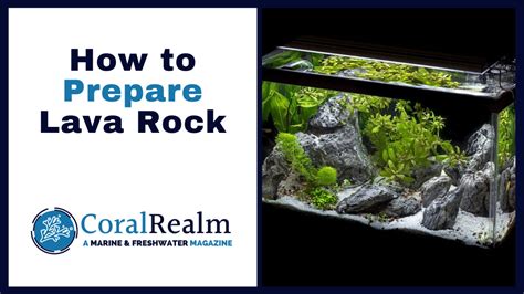 Aquarium Lava Rock - Guide & Preparation - CoralRealm