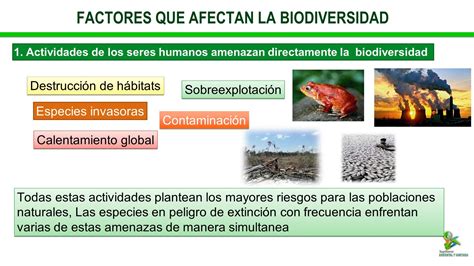 Yulitza Uribe Sanchez Factores Que Afectan La Biodiversidad Principales Factores Que Amenazan