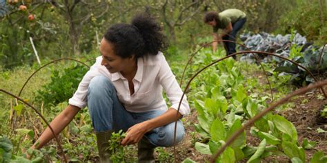 Farm Grants For Females Africanamericangrants