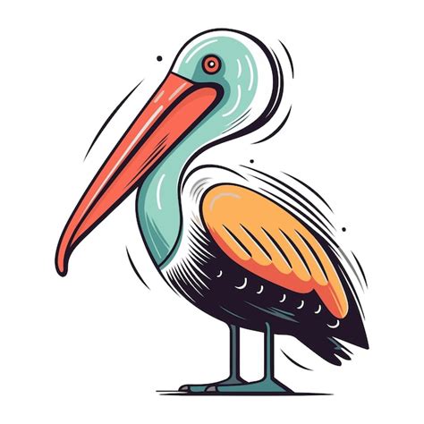 Premium Vector Pelican Vector Illustration Isolated On White