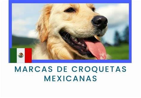 Top Las Mejores Croquetas Mexicanas Para Perros En M Xico De