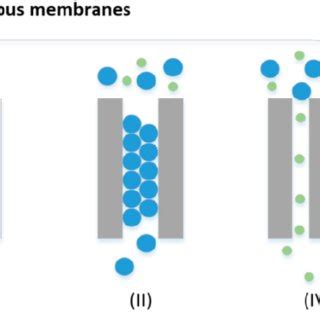 Transport Mechanism For Porous Membranes I Knudson Diffusion Ii